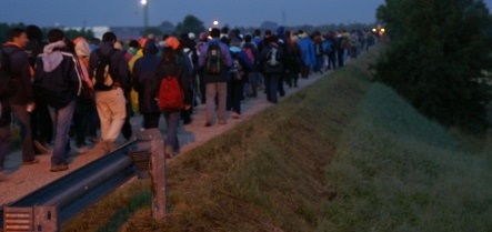 00 00 pellegrinaggionotturno