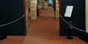 01 14 Leoni museo web