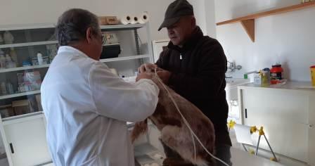 02 05 19 operazione microcip