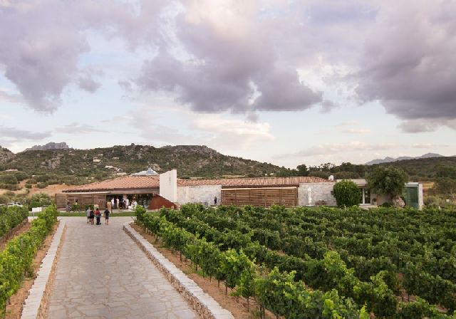 08 00 cantina vigne surrau