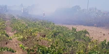08 14 incendio due su pranu