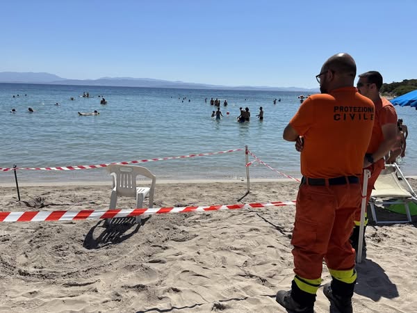 514047743 1153634133470945 7246154529070900106 n