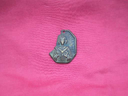 Fig. 4. S. Antiocus Sulcitanus2 002 web