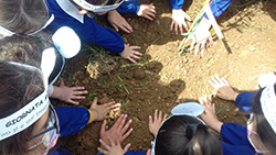 MANI BIMBI PIANTA PICCOLA