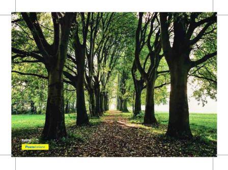 Strade naturali fronte