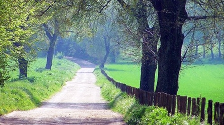 Tratturo Giulianello
