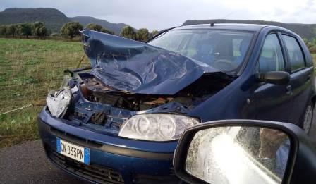 auto rotta