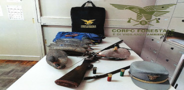 forestali 1