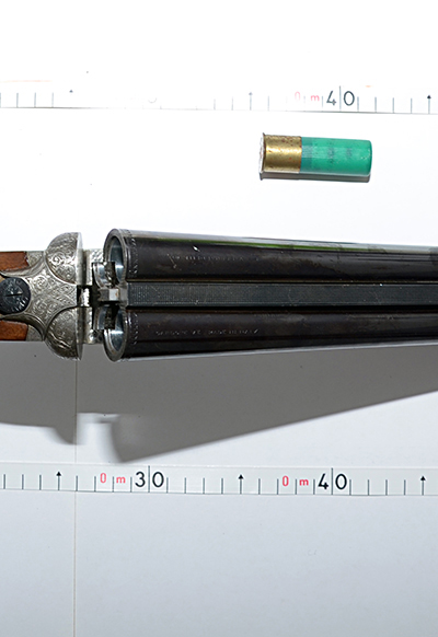 Copyright © 2008-2016 tentazionidellapenna.com fucile ritrovato 2