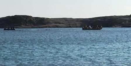 migranti calasapone