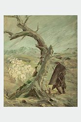 mostra barumini webFotoNicolaCastangia