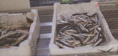 pesci sequestrati portoscuso